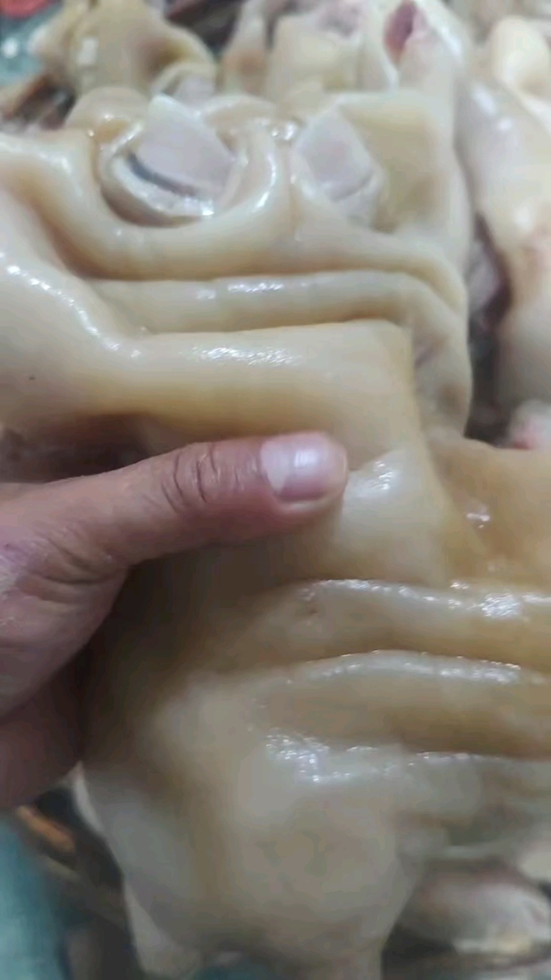 全去骨熟牛蹄刚煮，价格不高，老板联系