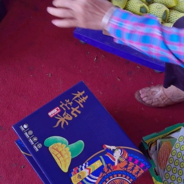广西百色田东桂七产地直发，价格美丽，电商代发，落地配。