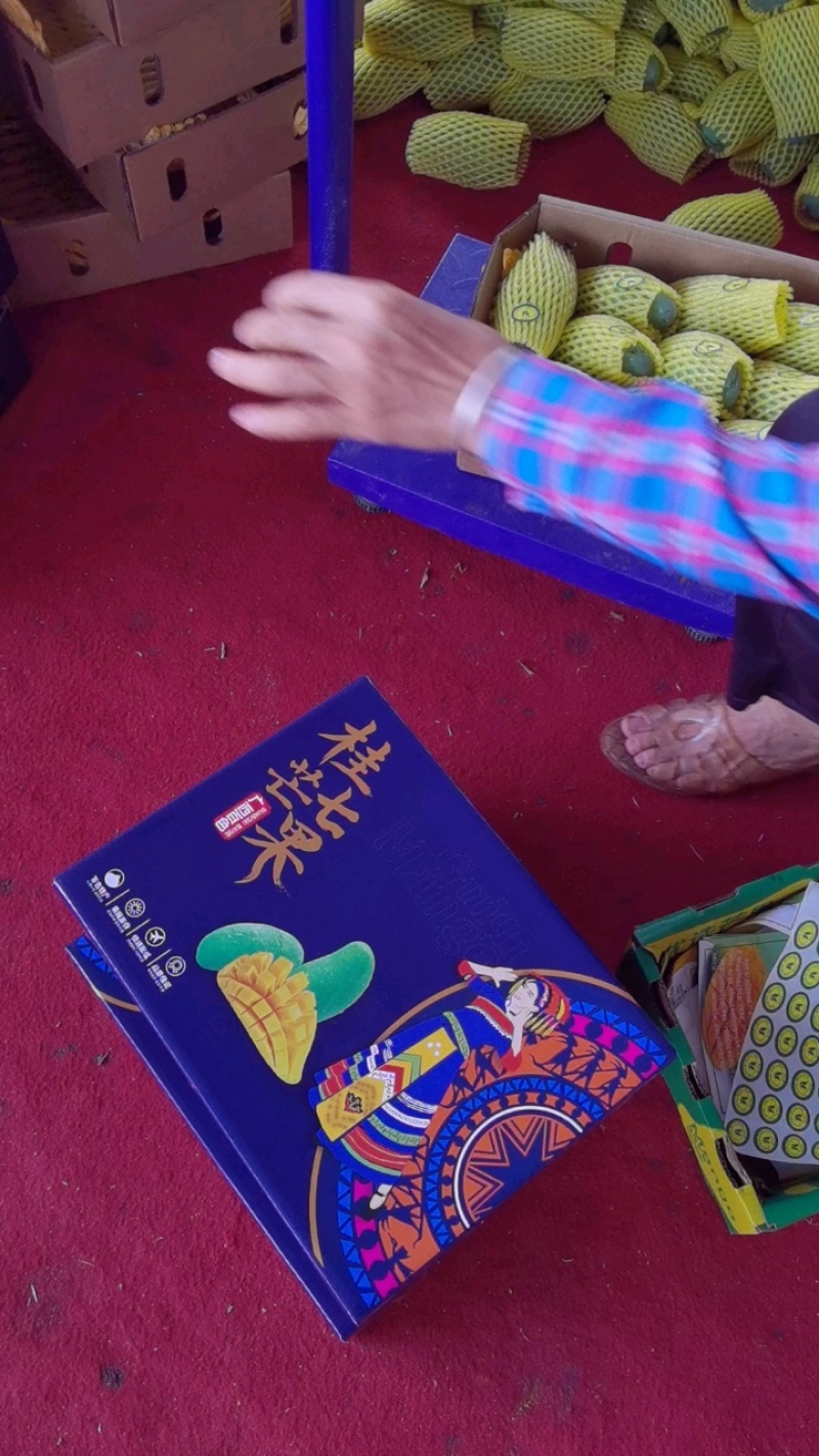 广西百色田东桂七产地直发，价格美丽，电商代发，落地配。