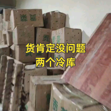 精品贡菜，苔干，产地货源，自然凉晒，欢迎下单，量大从优。