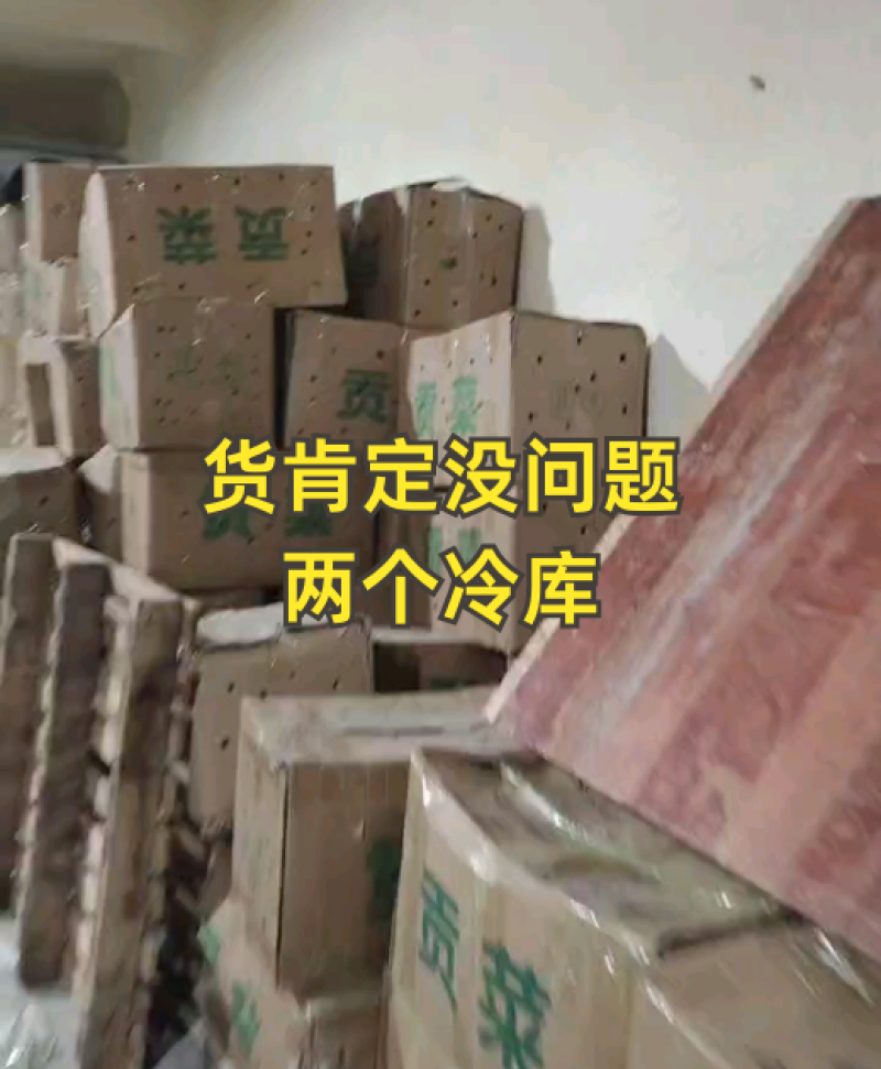 精品贡菜，苔干，产地货源，自然凉晒，欢迎下单，量大从优。