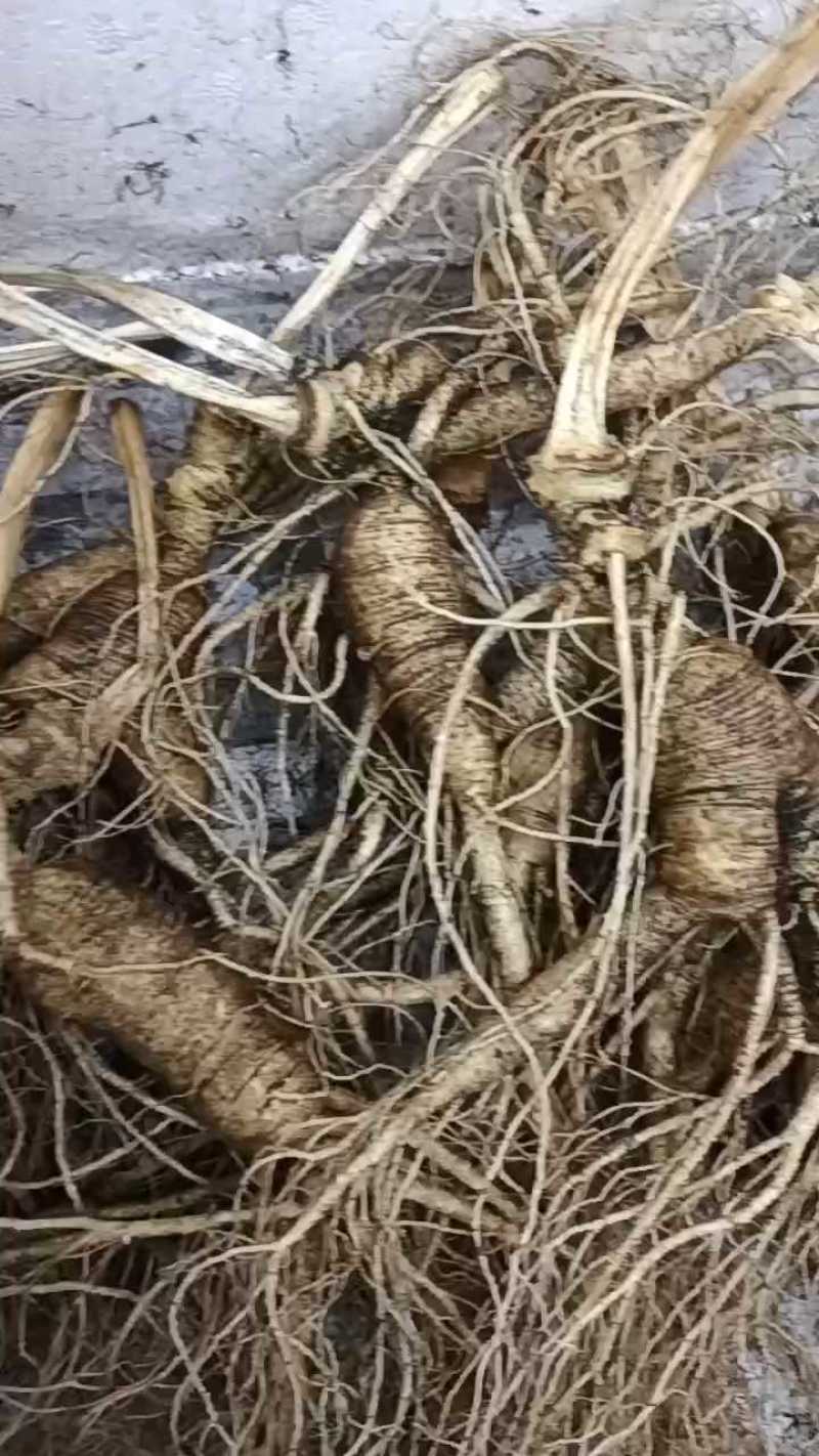 十几年货剩一斤半，泡酒好料统着卖
