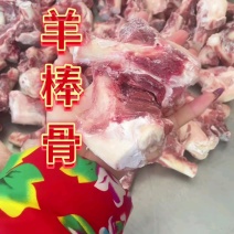 内蒙古精品羊副产品羊棒骨/诚信经营/量大从优/工厂直发