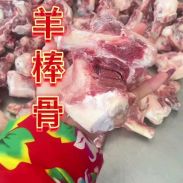 内蒙古精品羊副产品羊棒骨/诚信经营/量大从优/工厂直发