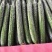 精品密刺黄瓜产地直发品质保证现摘现发干花带刺可视频看货