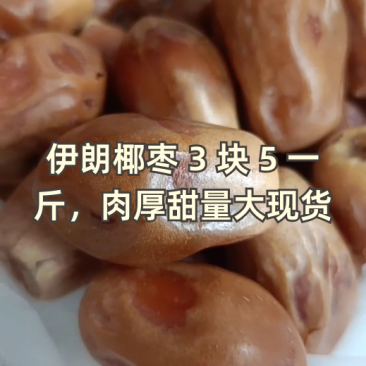 伊拉克椰枣电商平台对接供应链黄金椰枣一站式服务
