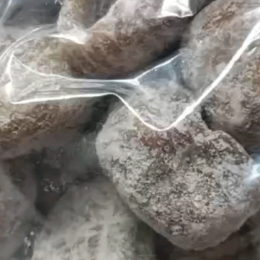 厂家直销一手货源水晶蜜枣软蜜枣颗粒饱满，个大无核