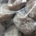 厂家直销一手货源水晶蜜枣软蜜枣颗粒饱满，个大无核