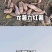 【源头直采】沙地红薯龙薯九号新鲜直达可视频看货