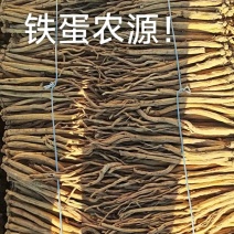 甘肃岷县白条党参正品铁蛋农源道地药材产地直发长年稳定有货
