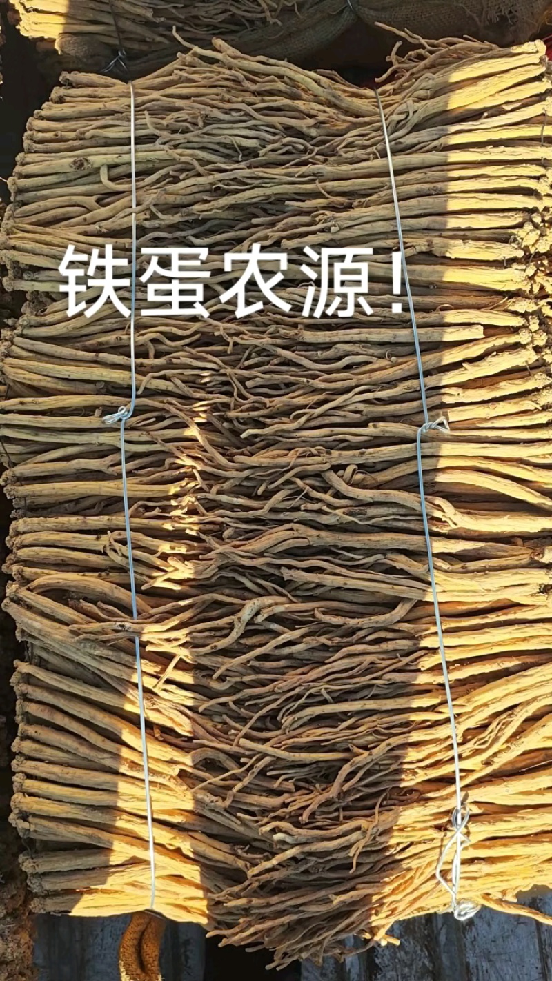 甘肃岷县白条党参正品铁蛋农源道地药材产地直发长年稳定有货