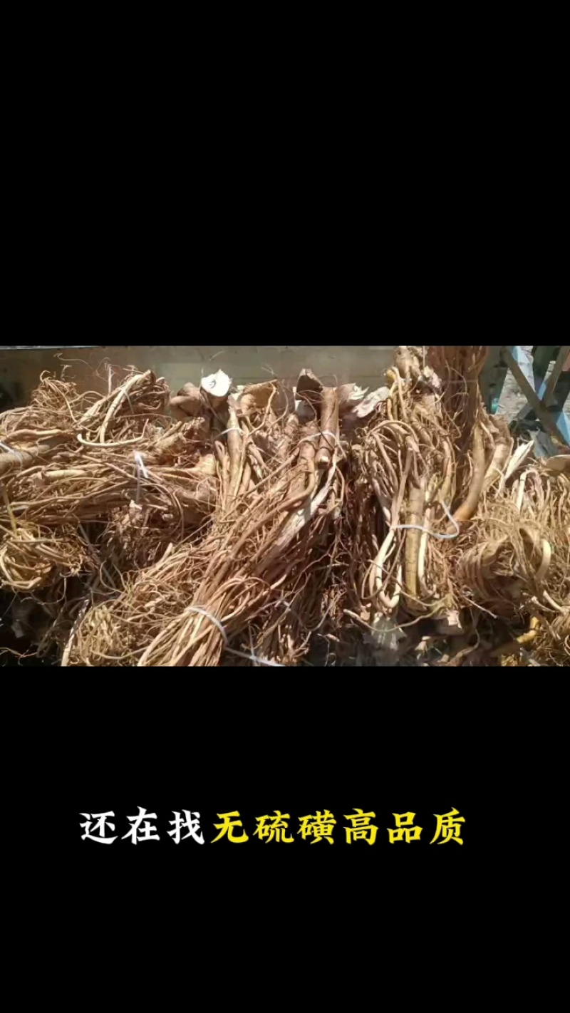五指毛桃干货无硫磺长扎把产地直发一手货源长期有货煲汤泡酒