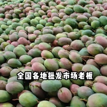 攀枝花凯特芒果四川原产地代办供货市场老板来电联系