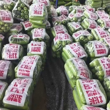 本地瓠瓜大量上市，质量保证，有需要的老板联系