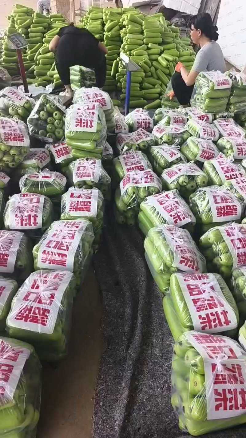 本地瓠瓜大量上市，质量保证，有需要的老板联系