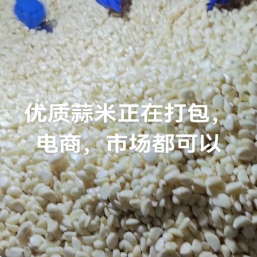 金乡蒜米，厂家直供，电商，市场，加工厂，均可一手货源