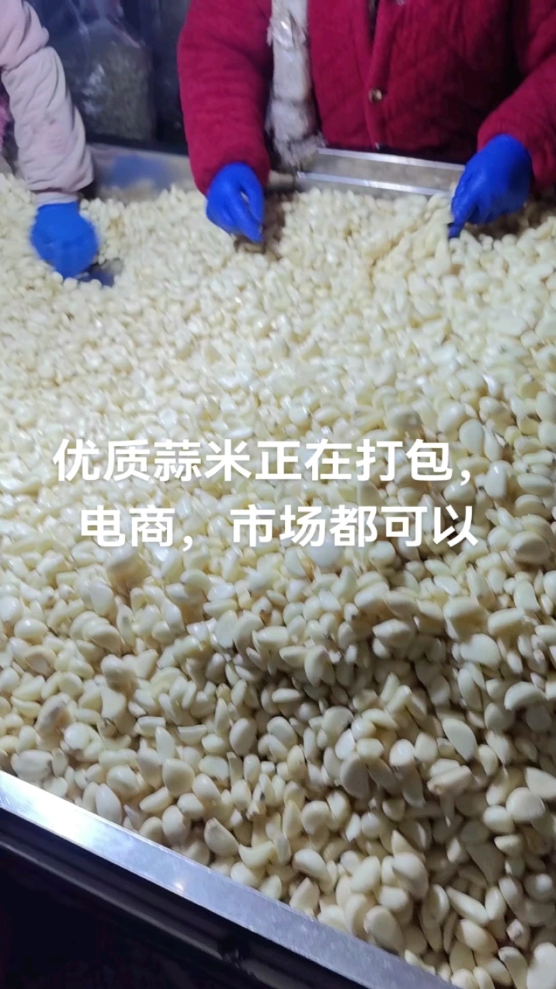 金乡蒜米，厂家直供，电商，市场，加工厂，均可一手货源