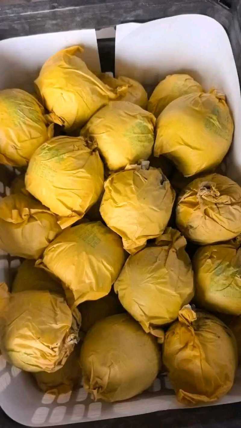 翠玉梨口感细腻核小万亩基地直供保质保量实力代收发电商超