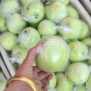 美八苹果脆甜个大价格便宜质量保证