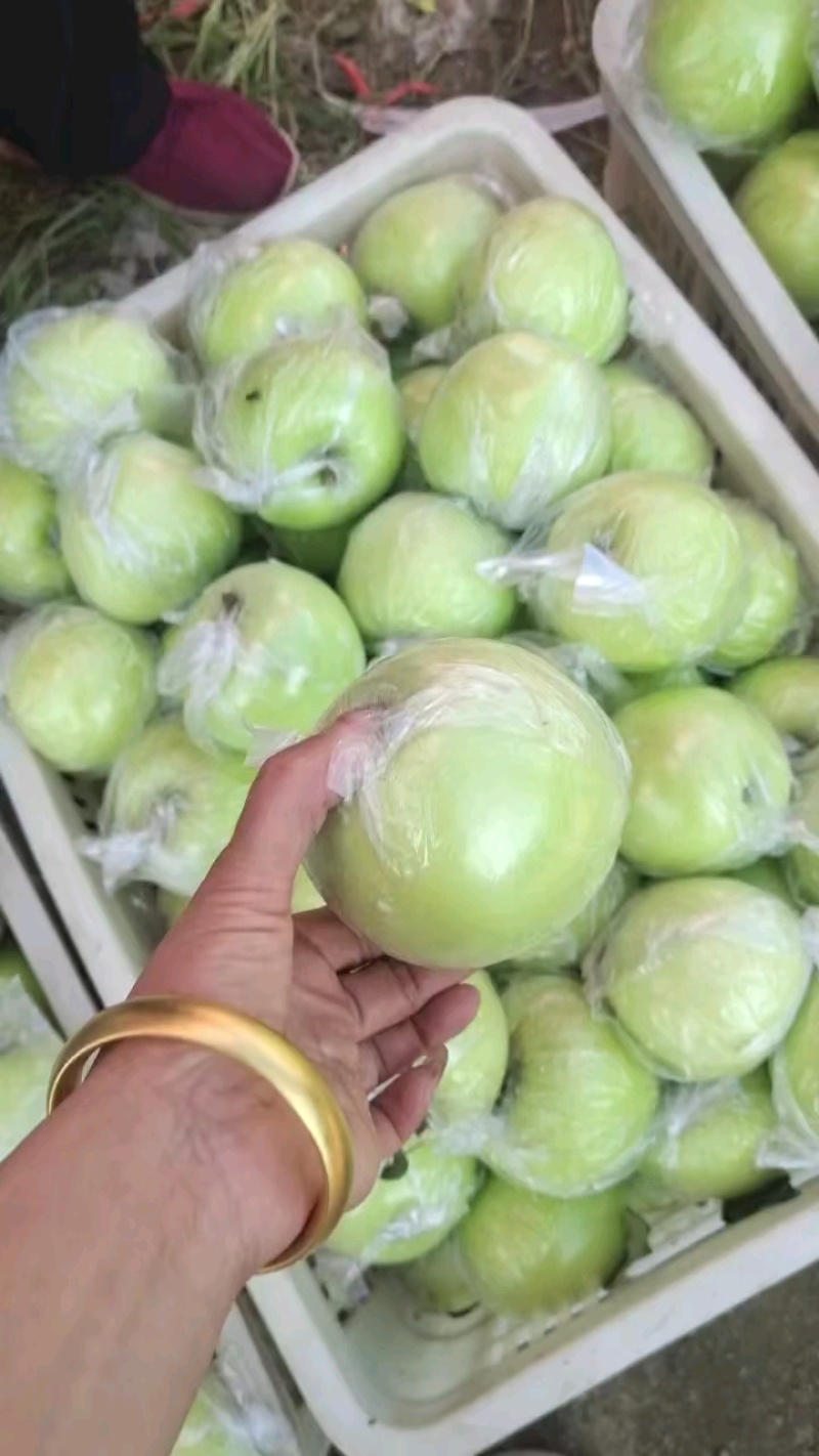 美八苹果脆甜个大价格便宜质量保证