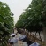 巨峰葡萄散串葡萄赶集货加工厂电商货大量供应中，可代发货中