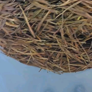 精品熟直条