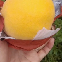 颜色硬度都没问题，品质放心