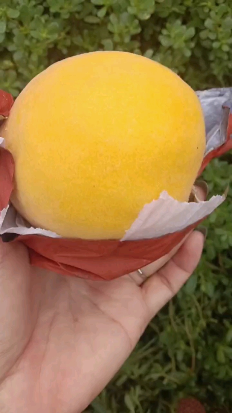颜色硬度都没问题，品质放心