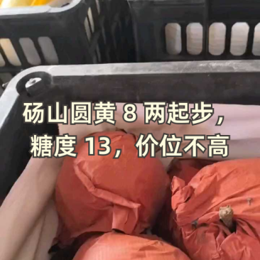 砀山精品圆黄梨大量上市了，货源充足，保质保量全国发货！