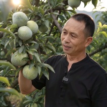奈李湖南一手货源品种齐全现摘现发诚信经营可视频看货