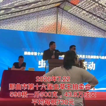 【低价断虫草】西藏那曲冬虫夏草断草批发自己吃泡酒**实惠