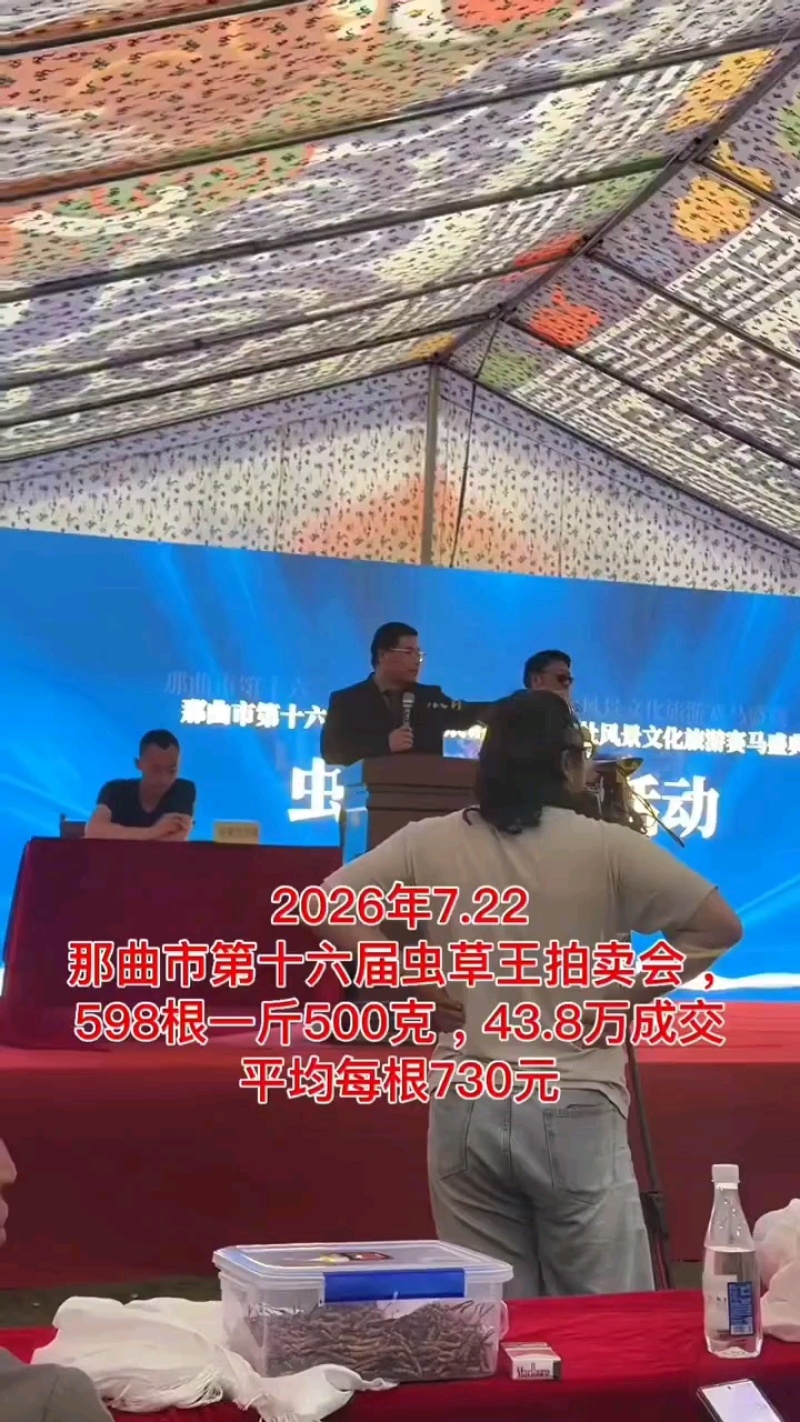 【低价断虫草】西藏那曲冬虫夏草断草批发自己吃泡酒**实惠