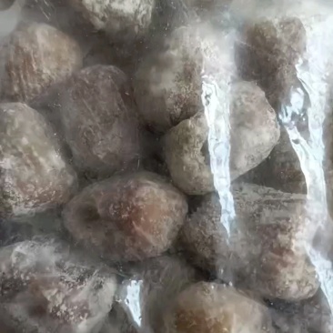 包粽子枣糕用金丝无核蜜枣阿胶蜜红无核厂家直供一手货源