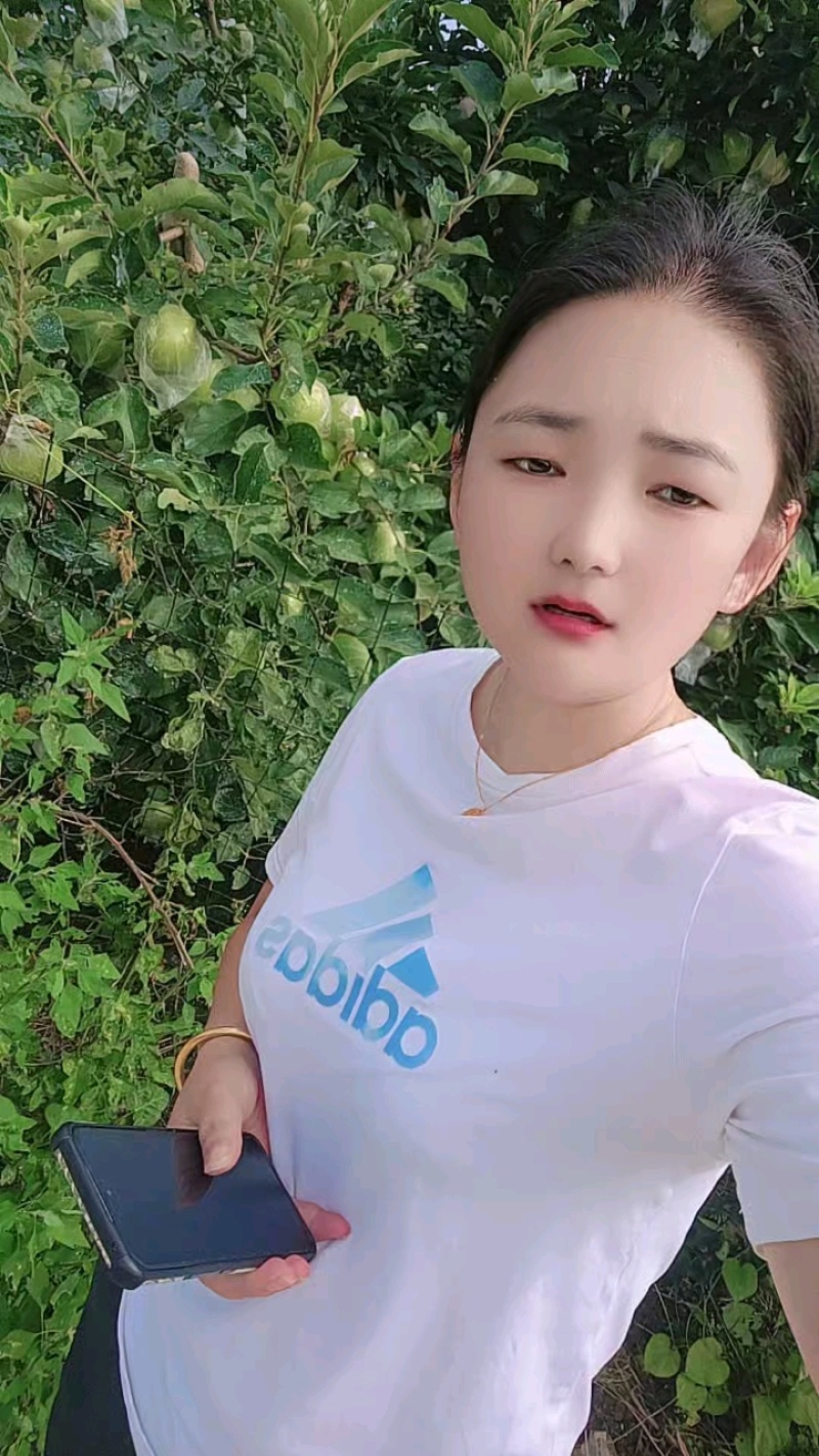 红露/嘎啦/鲁丽/美八苹果，产地大量上市！市场赶集电商