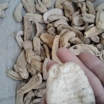 天麻，产地直供陕西仿野生无硫天麻，规格齐全质量有保证。
