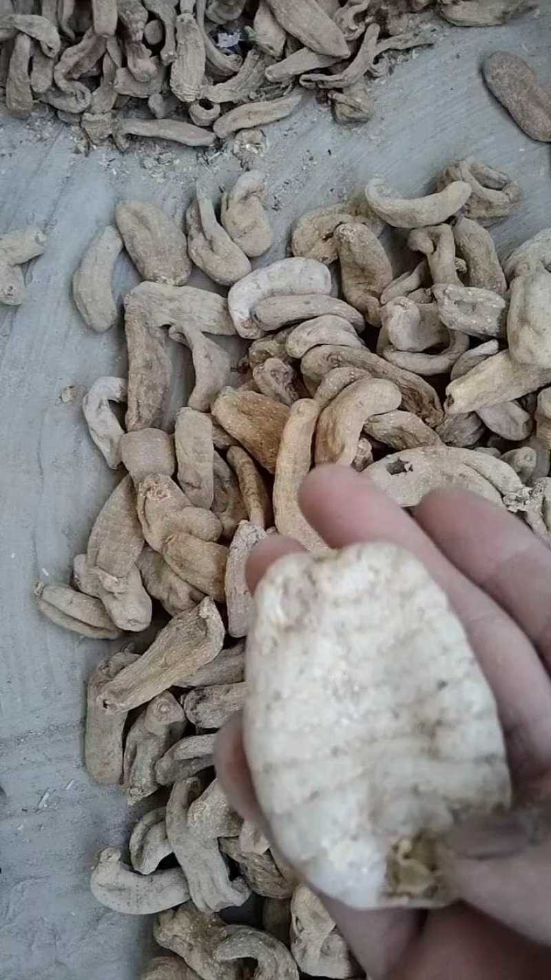 天麻，产地直供陕西仿野生无硫天麻，规格齐全质量有保证。