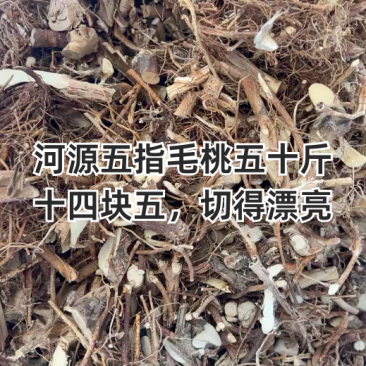 广东紫金本地仿野生切椴五指毛桃，足三年，足干，统货