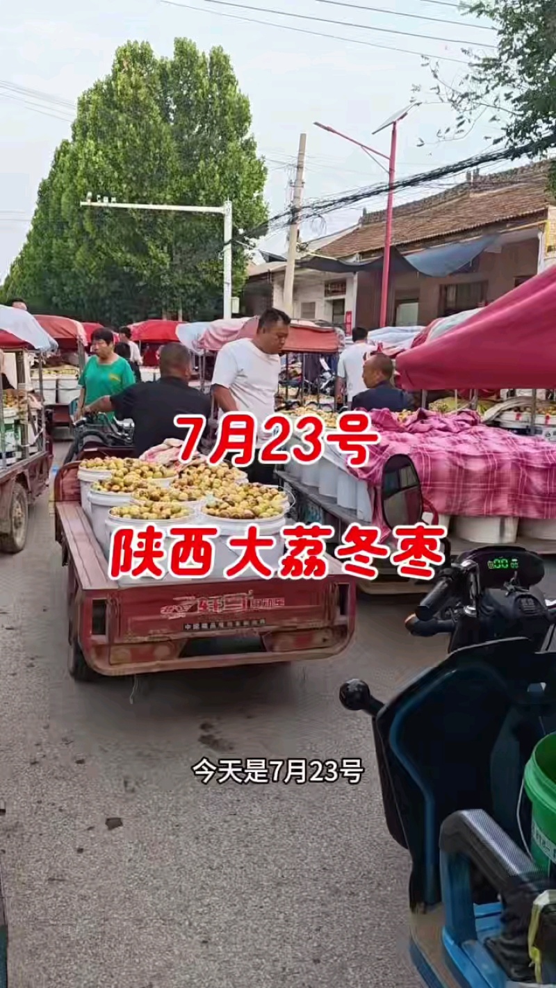 陕西大荔冬枣对接各大电商平台社区团购美图多多仓