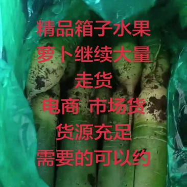 山东潍坊水果萝卜，天星希卡利青克力帝王青绿帅冰激凌冰糖芯