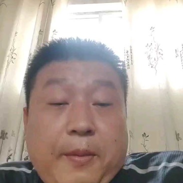 密刺黄瓜大量上市山东产地直发质量保证货源充足量大优惠