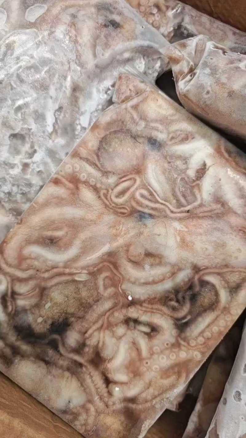 活冻鲜活大长腿八爪鱼短腿八爪鱼江苏海鲜水产