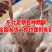 老鹅新货出厂价，一件批发价，全国冷链