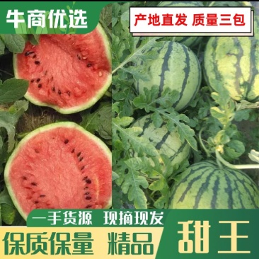 通辽沙地西瓜甜王西瓜，大红瓤小薄皮，大量供应，全国发货