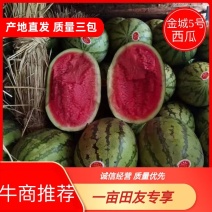 内蒙古库伦沙地金城五号，平均个头19，20斤左右，大红瓤