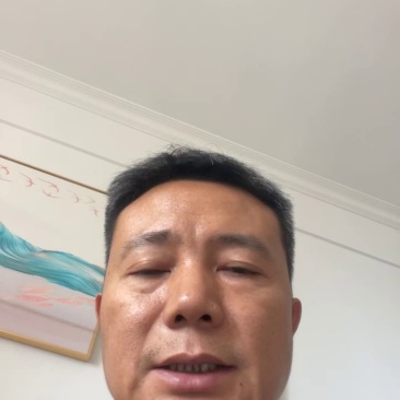 云南新鲜松茸大量上市产地直发每天现货一件代发