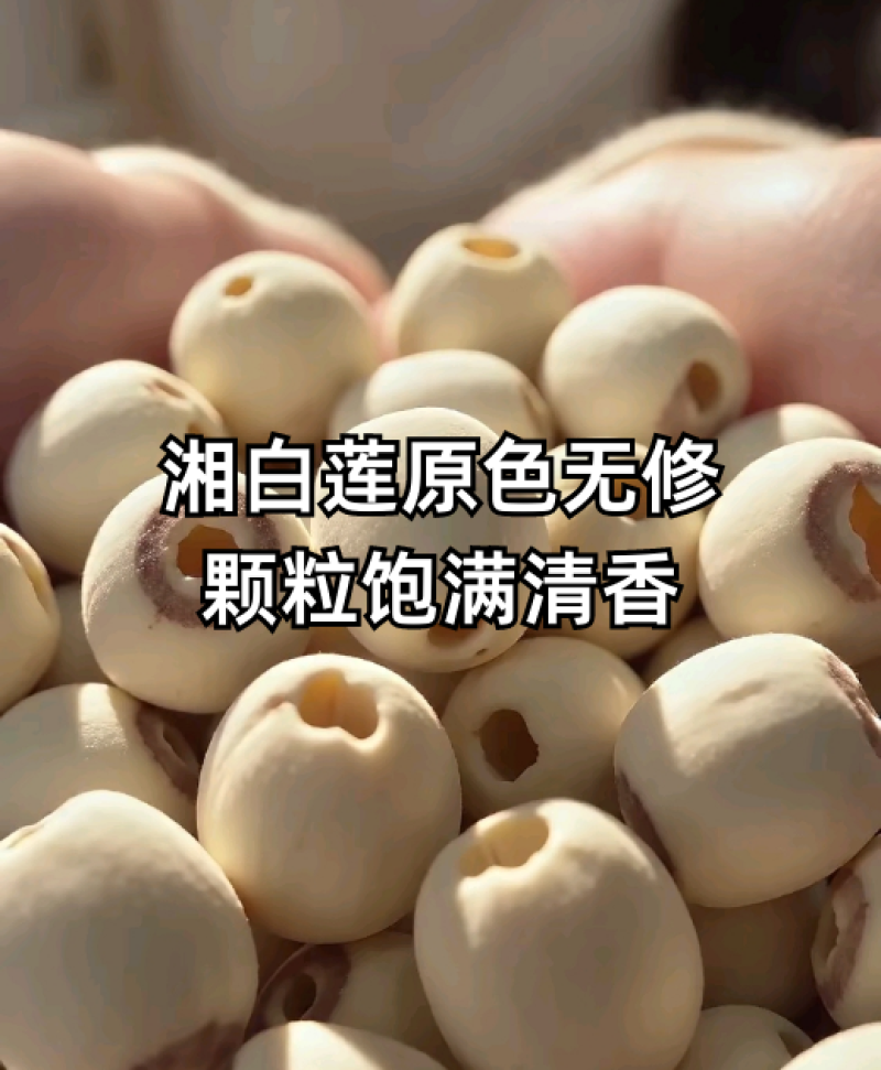 白莲子，机器去芯，磨皮白莲，无杂莲，死莲，香糯可口