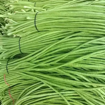 开封青条豆角一手货源产地直发可供商超市场批发