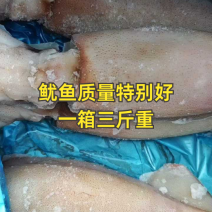 单冻鱿鱼🦑，货源稳定，常年卖货，欢迎大家加入
