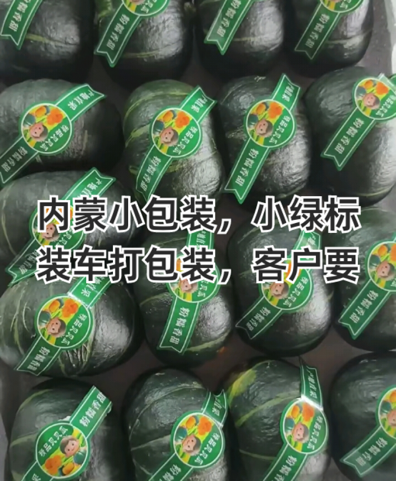 粉糯香甜源头贝贝，本合作社一年365天基地不断货