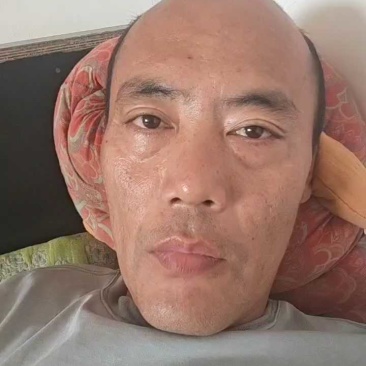 盐渍海带盐渍海带头，高中低一级，适合麻辣烫火锅店小批发